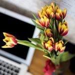 Поздравления и график работы ко Дню 8 марта - technari Поздравления и график работы ко Дню 8 марта - фото